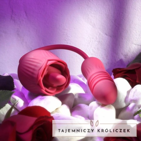 Evolved Wild Rose Red - wielofunkcyjny masażer z systemem podwojnej wibracji Evolved