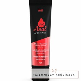 INTT Hot Anal Silicon - hybrydowy lubrykant silikonowy z efektem rozgrzewającym 100ml INTT