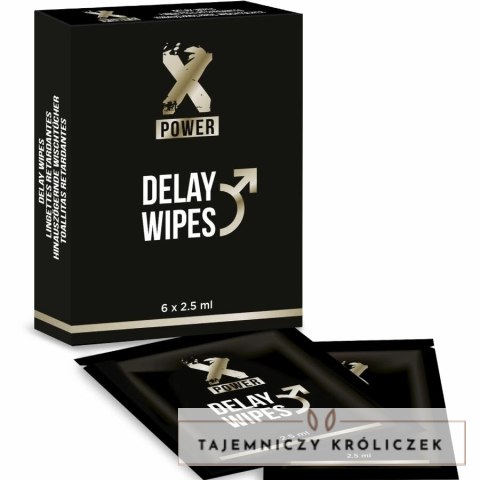 XPOWER Delay Wipes 6 sztuk - chusteczki opoźniające z miętą i dziurawcem XPOWER