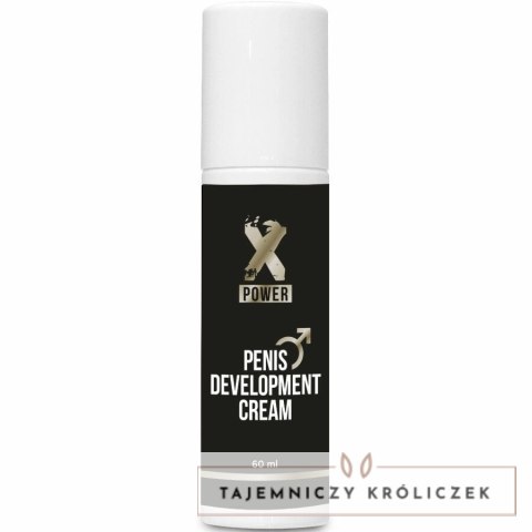 XPOWER Krem pielęgnacyjny dla mężczyzn 60 ml z ekstraktami roślinnymi XPOWER