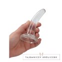 RealRock Crystal Clear model zakrzywiony 11,5 cm z przyssawką RealRock by Shots