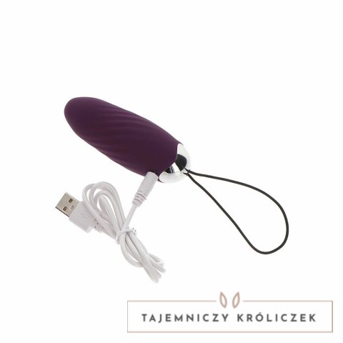 ToyJoy Knock Knock Eggstavagant jajo intymne z pilotem fioletowe TOYJOY