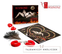 Grajmy Razem Rozkosz Gra Planszowa dla Par z Akcesoriami 31x21cm Kemis