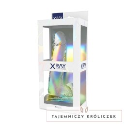 XRAY X Ray Clear 20 cm - przezroczysty model z kulkami, materiał Jelly X RAY