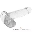 XRAY X Ray Clear 20 cm - przezroczysty model z kulkami, materiał Jelly X RAY