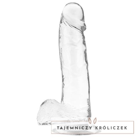 XRAY X Ray Clear 20 cm - przezroczysty model z kulkami, materiał Jelly X RAY