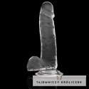 XRAY X Ray Clear 20 cm - przezroczysty model z kulkami, materiał Jelly X RAY