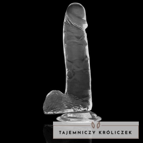 XRAY X Ray Clear 20 cm - przezroczysty model z kulkami, materiał Jelly X RAY