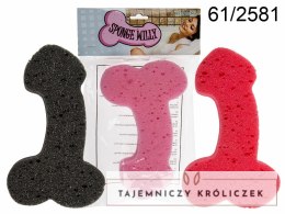 Sponge Willy Gąbka do Mycia Mix Kolorow 19x12x3 cm Prezent Kemis