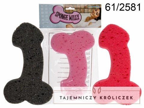 Sponge Willy Gąbka do Mycia Mix Kolorow 19x12x3 cm Prezent Kemis