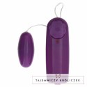 ToyJoy Super Gift Box Zestaw Akcesoriow Intymnych Fioletowy TOYJOY