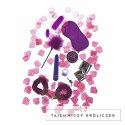 ToyJoy Super Gift Box Zestaw Akcesoriow Intymnych Fioletowy TOYJOY