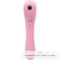 Femintimate Daisy - Masażer intymny dwusilnikowy, rożowy, 20,2 cm FEMINTIMATE