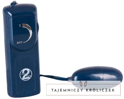 You2Toys Midnight Blue Set 9-elementowy zestaw akcesoriow intymnych You2Toys