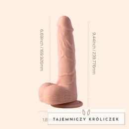 HoneyPlayBox Kenzo 23,9 cm - automatyczny model z funkcją ruchu i przyssawką HoneyPlayBox