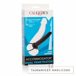 CalExotics Double Strap-On System czarny - podwojny aplikator TPR 13 cm CALEXOTICS
