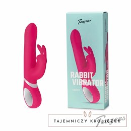 Dream Toys Dynamic Rabbit Vibe obracający się z wibracjami, silikonowy Teazers