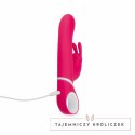 Dream Toys Dynamic Rabbit Vibe obracający się z wibracjami, silikonowy Teazers