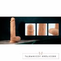 HoneyPlayBox Paxton - Anatomiczny model obrotowo-wibrujący 21,9 cm z mocowaniem HoneyPlayBox