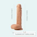 HoneyPlayBox Paxton - Anatomiczny model obrotowo-wibrujący 21,9 cm z mocowaniem HoneyPlayBox