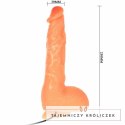 Baile model z wibracją - anatomiczna forma, silna przyssawka, sterowanie pilotem BAILE