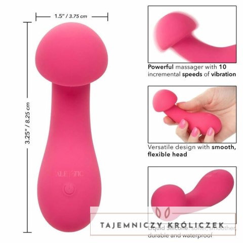 CalExotics Pixies Exciter rożowy - silikonowy masażer dwustronny 10 trybow CALEXOTICS