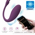 Pretty Love Catalina Wibrator Sterowany Aplikacją Fioletowy USB 12 Trybow PRETTY LOVE