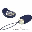 Pretty Love Mina niebieskie jajko sterowane pilotem, 10 trybow, USB PRETTY LOVE