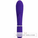 Pretty Love Prescott wielofunkcyjny masażer G-Spot fioletowy USB PRETTY LOVE