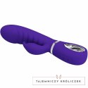 Pretty Love Prescott wielofunkcyjny masażer G-Spot fioletowy USB PRETTY LOVE