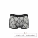 Passion James Shorty Black S/M - nowoczesne szorty, certyfikat Oeko-Tex Passion