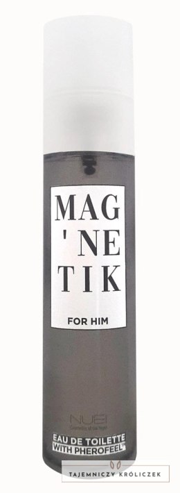 Nuei Mag'netik for Him Woda Toaletowa z Feromonami 50 ml Drzewno-Korzenna NUEI
