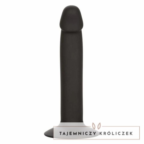 CalExotics Stud Wąski Model Analny Silikonowy z Przyssawką CALEXOTICS