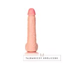 RealRock Model Prosty 25,5 cm - system mocowania, powierzchnia anatomiczna RealRock by Shots