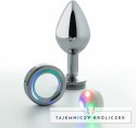 Crushious Borealis Metalowy Plug LED RGB Srebrny Medium 8,5 cm Crushious