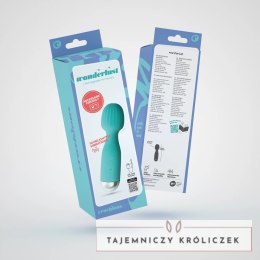 Crushious Wanderlust Mini Wand Masażer Miętowy 15 cm USB Wodoodporny Crushious