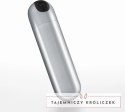 Crushious iMoan Srebrny Wibrujący Mini Masażer USB 10 Trybow 7,6 cm Crushious