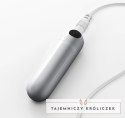 Crushious iMoan Srebrny Wibrujący Mini Masażer USB 10 Trybow 7,6 cm Crushious