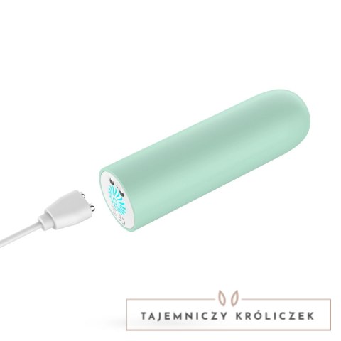 Crushious Quackers Mini Wibrator USB Miętowy 10 Trybow Wodoodporny Crushious