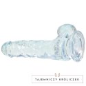 Addiction Crystal Addiction Clear Dong 18 cm, przezroczysty, TPE, przyssawka Addiction