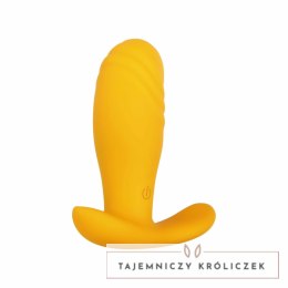 Evolved Novelties Creamsicle Orange - Wibrująca zatyczka analna z pilotem Evolved