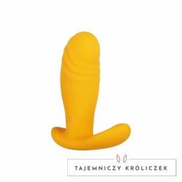 Evolved Novelties Creamsicle Orange - Wibrująca zatyczka analna z pilotem Evolved