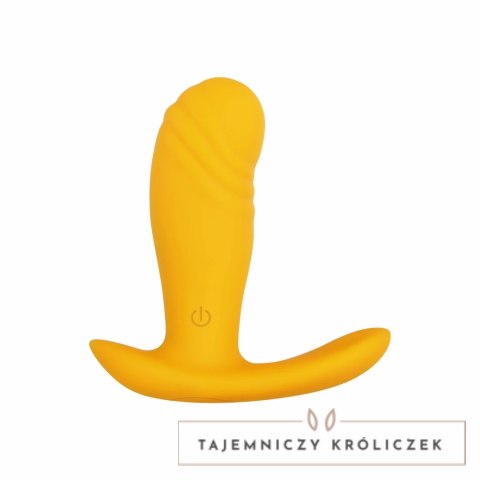 Evolved Novelties Creamsicle Orange - Wibrująca zatyczka analna z pilotem Evolved
