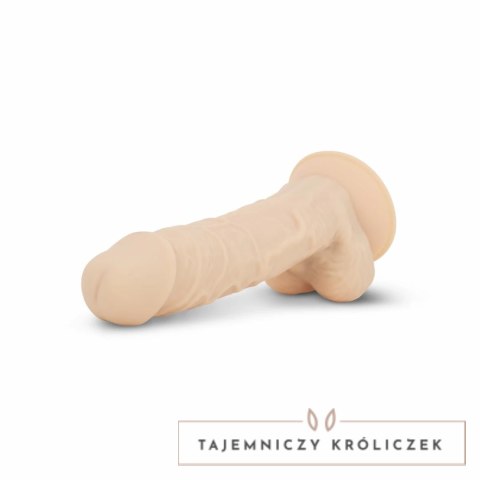 Real Fantasy Deluxe Ashton model silikonowy Silexpan 21 cm z przyssawką Real Fantasy