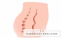 Cherry Model Intymny Dwukanałowy Anatomiczny XL 8809392180466 Kokos
