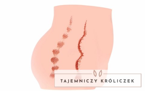 Cherry Model Intymny Dwukanałowy Anatomiczny XL 8809392180466 Kokos