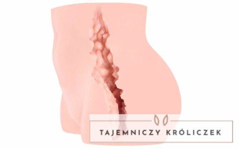 Cleo Model Anatomiczny Intymny z Teksturowanym Wnętrzem 8809392181166 Kokos