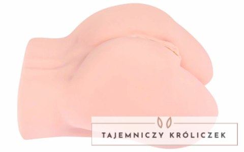 Hera Real Hip model anatomiczny, kompaktowy, miękki materiał Kokos