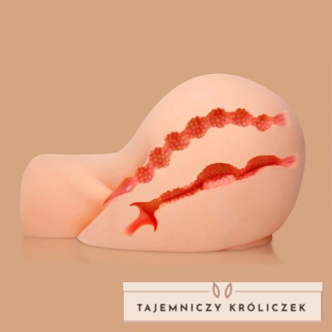 Kokos Oknyeo - Intymny model dwukanałowy, realistyczny wygląd, 5 kg Kokos