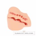 Kokos Olivia+ model dwukanałowy z realistyczną teksturą, beżowy Kokos